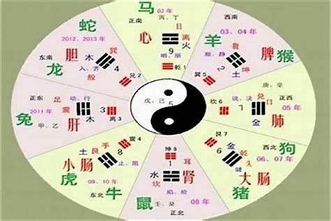 絜五行|樾字的五行属性